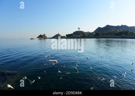 Die malerische Küste entlang der Mutrah Corniche in Muscat, Oman. Stockfoto