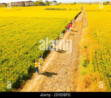 Eine Kindergärtnerin nimmt Kinder mit, um in den goldenen Reisfeldern zu malen, um den kommenden Herbst in Rugao City, der ostchinesischen Provinz Jiangsu, zu begrüßen. Stockfoto