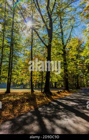 Herbstgefühle im schönen Werra-Tal - Thüringen / Deutschland Stockfoto