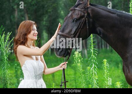 Die schöne junge Frau das Pferd auf dem Gras Stockfoto