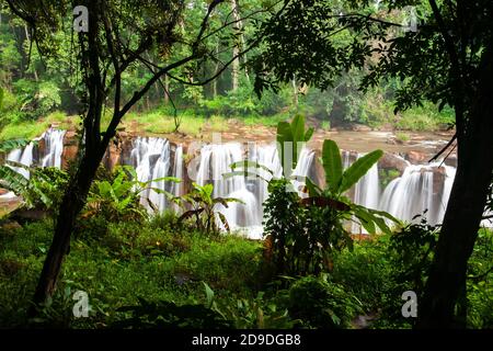 Blick aus dem hohen Winkel auf den TAD Phan Suam Wasserfall in einer Schlucht in der Regenzeit, Blick aus dem Inneren des Dschungels heraus. Bolaven Plateau, Süd-Laos. Stockfoto