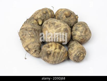 Draufsicht auf frische Bio-jerusalem Artischocke auf weißem Hintergrund Stockfoto