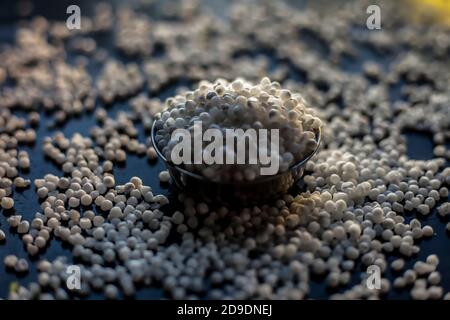 Nahaufnahme von rohen Sago-Perlen oder Tapioka-Perlen in einer Glasplatte auf einer schwarzen Oberfläche. Stockfoto