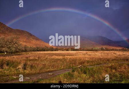 Kilchurn Castle (KC1) Stockfoto