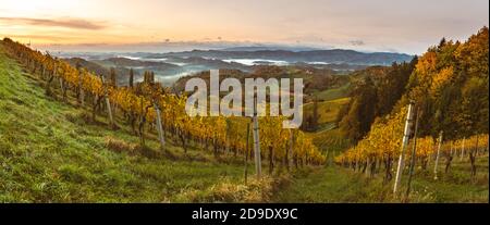 Herbstansicht von der südsteirischen Route in Österreich auf den Hügeln in Slowenien während der Sonnenaufhebung. Stockfoto