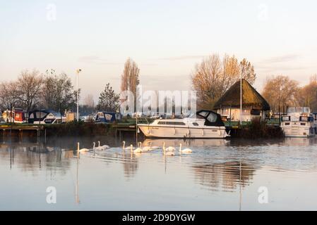 Über Cambridgeshire, Großbritannien. November 2020. Schwäne auf dem Fluss Great Ouse im frühen Morgennebel an einem frostigen Herbstmorgen. Kredit: Julian Eales/Alamy Live Nachrichten Stockfoto
