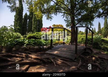 Hölzerne Brücke im Park zwischen den großen Wurzeln der Bäume Stockfoto