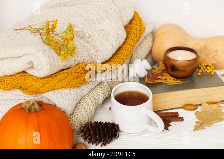 Happy Thanksgiving und Hello Fall Konzept. Warmer Tee, Kürbisse und Gewürze auf dem Hintergrund von kuscheligen Strickpullover, Herbstblättern, Kerze und Buch. Leisu Stockfoto