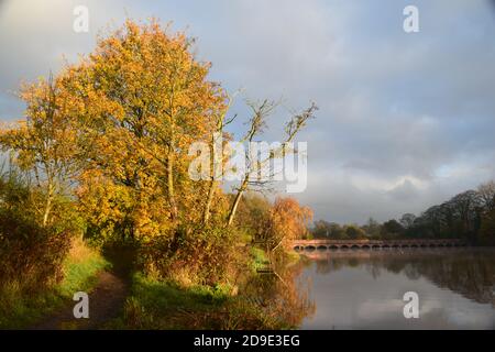 Sonnenaufgang über einer Seenoberfläche am frühen Morgen ruhig Hervorhebung der umgebenden Baumbelaubung und Himmelsmuster, die auf reflektiert werden Das Wasser des Sees Stockfoto