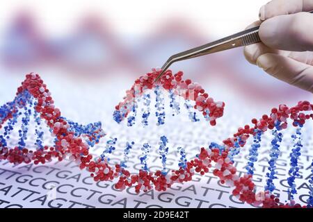 Gentechnik, GMO und Genmanipulationskonzept. Hand fügt Sequenz der DNA ein. 3D-Darstellung der DNA. Stockfoto