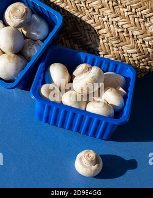 Frische Champignons in blauen Plastikboxen auf dem Hintergrund einer Weidentasche. Platz für Text kopieren. Stockfoto