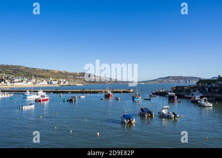 Lyme Regis, Dorset, Großbritannien. November 2020. UK Wetter: Der Cobb und Hafen an einem schönen sonnigen Tag am ersten Tag der vierwöchigen Sperre unten am Badeort Lyme Regis. Kredit: Celia McMahon/Alamy Live Nachrichten Stockfoto