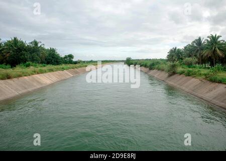 Wasserversorgungskanal durch Kokosnussfarm Stockfoto