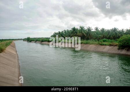 Wasserversorgungskanal durch Kokosnussfarm Stockfoto