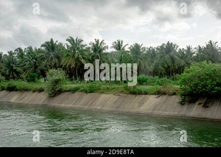 Wasserversorgungskanal durch Kokosnussfarm Stockfoto