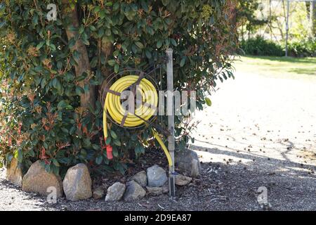 Gelbe Schlauchtrommel, Gartenschlauchtrommel in Rutherglen, Victoria, Australien Stockfoto