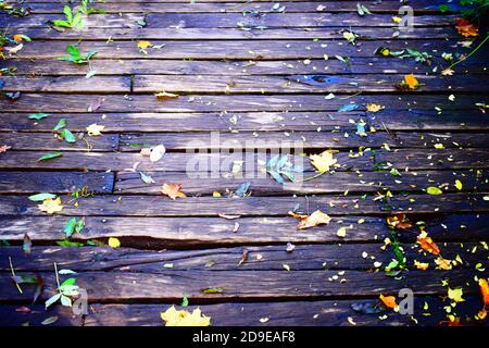 Fallen lassen auf Holz Stockfoto