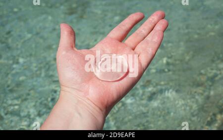 Runde Quallen auf der Handfläche vor dem Hintergrund des Meerwassers. Arm. Hände. Runde Formen in der Natur. Stockfoto