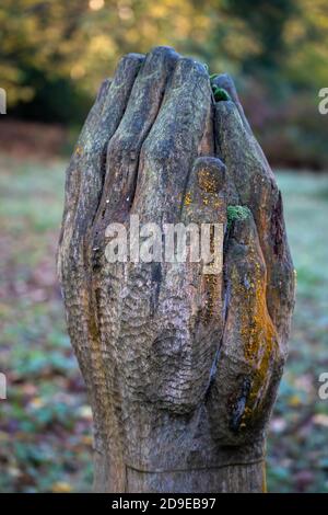 CRAWLEY, WEST SUSSEX/UK - 4. NOVEMBER : Holzschnitzerei im Buchan Country Park in Crawley, West Sussex am 4. November 2020 Stockfoto