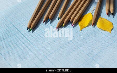 Rahmen für Text. Holzstifte mit farbigen Leads und gelben Herbstblättern. Bald wieder zur Schule. Stockfoto