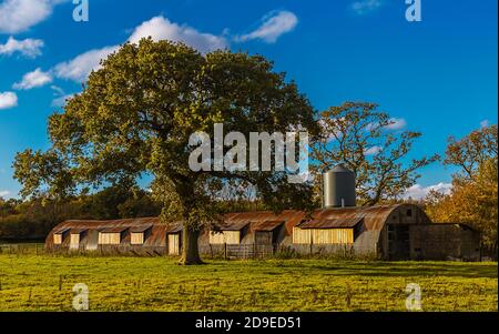 Umgebaute Nissen Hütten auf Cotswolds Farm. Stockfoto