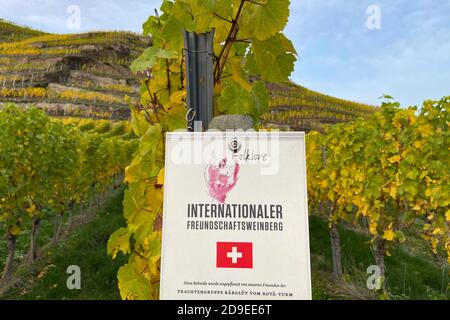 Winningen, Deutschland. November 2020. Internationaler Freundschaftsweingarten der Schweizer Trachtengruppe Barglut vom Rota-Turm in Herbststimmung in den Moselweinlagen. Winningen; 03/11/2020 Quelle: dpa/Alamy Live News Stockfoto