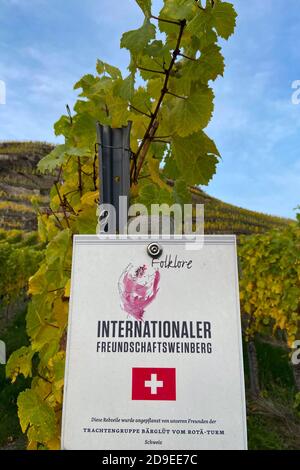 Winningen, Deutschland. November 2020. Internationaler Freundschaftsweingarten der Schweizer Trachtengruppe Barglut vom Rota-Turm in Herbststimmung in den Moselweinlagen. Winningen; 03/11/2020 Quelle: dpa/Alamy Live News Stockfoto