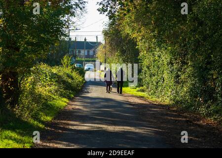 Ashford, Kent, Großbritannien. November 2020. UK Wetter: Heller und sonniger Tag am ersten Tag der Sperre aufgrund neuer Coronavirus-Einschränkungen. Menschen gehen mit ihren Hunden oder trainieren im Hamstreet National Nature Reserve in der Nähe von Ashford in Kent. Foto: Paul Lawrenson-PAL Media/Alamy Live News Stockfoto