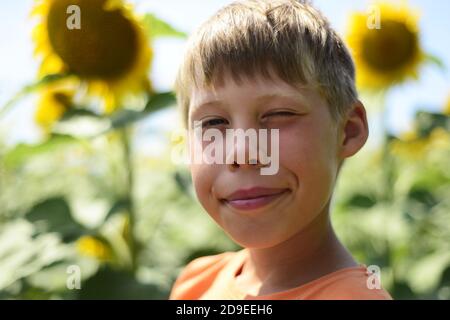 Der Junge in den Sonnenblumen. Das zufriedene Gesicht des Jungen. Dickicht von Sonnenblumen. Nahaufnahme des Gesichts. Freier Speicherplatz für Text. Stockfoto