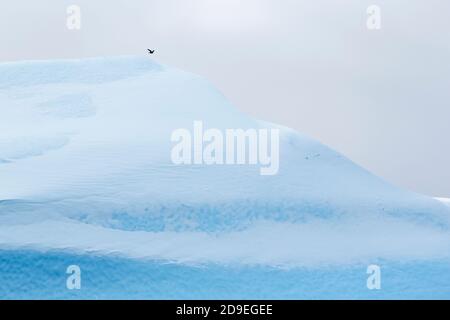 Nahaufnahme eines kolossalen Eisbergs im arktischen Ozean. Schneebedecktes Eis in Blau und Weiß. Disko Bay, Ilulissat, Grönland. Stockfoto