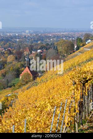 Dresden, Deutschland. November 2020. Die evangelische Weinbergkirche "zum Heiligen Geist" ist umgeben von herbstlichen Weinblättern im Dresdner Stadtteil Pillnitz. Quelle: Robert Michael/dpa-Zentralbild/ZB/dpa/Alamy Live News Stockfoto