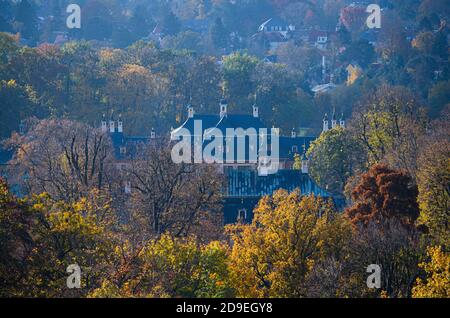 Dresden, Deutschland. November 2020. Das Schloss Pillitz ist inmitten von herbstlich gefärbten Bäumen zu sehen. Quelle: Robert Michael/dpa-Zentralbild/ZB/dpa/Alamy Live News Stockfoto