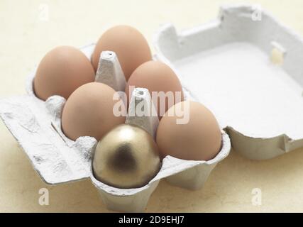 EIER IN EIERBOX MIT GOLDENEM EI, SYMBOLISCHES BILD FÜR DIE HENNE UND DAS GOLDENE EI Stockfoto