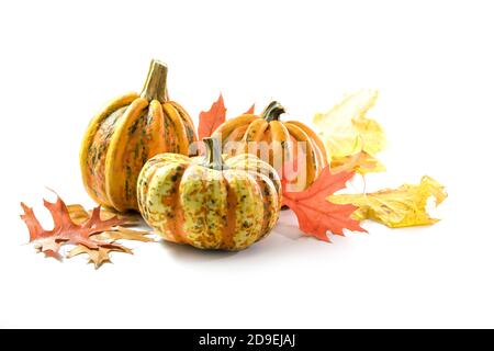 Verschiedene Lebensmittel Kürbisse oder Squashes für Halloween oder Thanksgiving und bunte Herbstblätter, isoliert auf weißem Hintergrund mit Kopierraum, ausgewählt Stockfoto