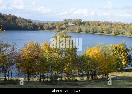 Herbst bei Weinfelder Maar Stockfoto