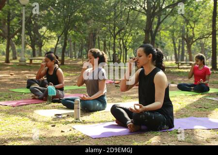 Pranayama (Atemarbeit) beim Yoga im Cubbon Park, bangalore, Indien Stockfoto