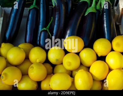 Hintergrund von gelben Zitronen und lila Aubergine. Gemüse und Obst. Kontraste Stockfoto