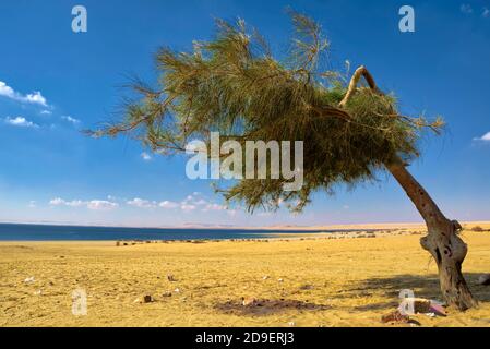 Leider, wenn man die Wasserfälle sehen will, muss man sich beeilen, denn sie schrumpfen, während der untere See weiter ansteigt. Es wird Co Stockfoto