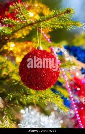 Schöne leuchtend rote Weihnachtskugel hängt auf Zweig der Weihnachtskiefer. Selektiver Weichfokus im Vordergrund, buntes, unscharfes Bokeh im Hintergrund. Stockfoto