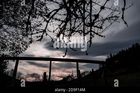Nuttlar, Deutschland. November 2019. Das Bild des Nuttlar Viadukts erscheint als Silhouette. Der Viadukt Nuttlar ist ein feriorer Viadukt im Zuge der Bundesstraße 46 im Sauerland. Mit einer Höhe von 115 Metern ist sie die höchste Brücke in Nordrhein-Westfalen. Am 18.11.2019 werden die Brücke und die A46 offiziell eingeweiht und für den Verkehr geöffnet. Quelle: Guido Kirchner/dpa/Alamy Live News Stockfoto