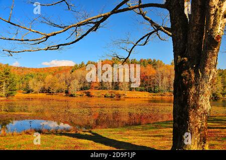 Es ist leicht, sich in die wunderschönen Herbstfarben und die Landschaft der wunderschönen Blue Ridge Appalachian Mountains in North Carolina zu verlieben. Stockfoto