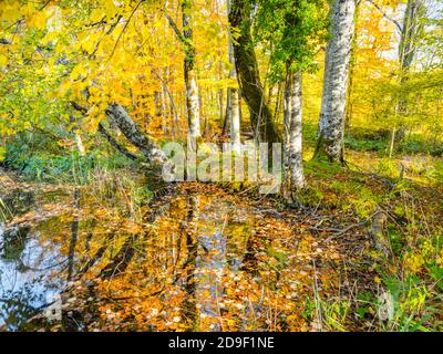 Nationalpark Plitvicer Seen, Kroatien