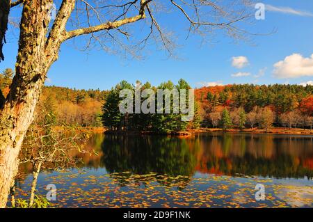 Es ist leicht, sich in die wunderschönen Herbstfarben und die Landschaft der wunderschönen Blue Ridge Appalachian Mountains in North Carolina zu verlieben. Stockfoto