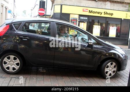 Hund auf dem Rücksitz eines Autos, der aus dem Fenster blickt, während der Fahrer im Auto sitzt, Ayr, Ayrshire, Schottland, Großbritannien Stockfoto