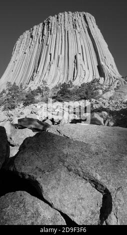 Devils Tower, Wyoming. Der Turm ist ein erstaunliches geologisches Merkmal, das aus der Prärie um die Black Hills ragt Stockfoto