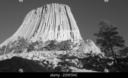 Devils Tower, Wyoming. Der Turm ist ein erstaunliches geologisches Merkmal, das aus der Prärie um die Black Hills ragt Stockfoto