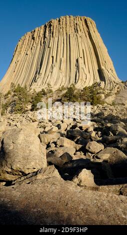Devils Tower, Wyoming. Der Turm ist ein erstaunliches geologisches Merkmal, das aus der Prärie um die Black Hills ragt Stockfoto