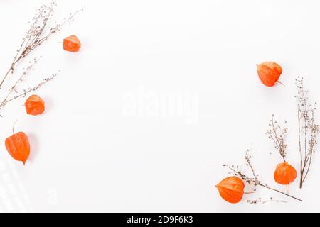 Zweig der Physalis, chinesische Laterne Pflanze, Blase Kirsche oder Cape Stachelbeere. Stockfoto