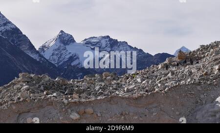 Eine Gruppe von Trekkern klettert durch den felsigen majestätischen Khumbu-Gletscher auf dem Weg zum Dorf Gorakshep auf dem Everest Base Camp Trek, Nepal. Stockfoto