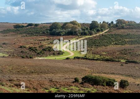 Pfad durch Heidenlandschaft oder Landschaft bei Ashley Walk im New Forest National Park, Hampshire, England, Großbritannien Stockfoto